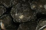 Septarian Dragon Egg Geode - Black & Brown Crystals #183112-1